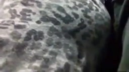 痴漢 chikan​ dick on​ bus​ 2