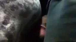 痴漢 chikan​ dick on​ bus​ 2