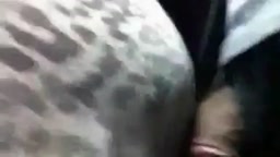 痴漢 chikan​ dick on​ bus​ 2