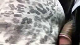 痴漢 chikan​ dick on​ bus​ 2