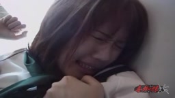 痴漢鉄道 女子校生編