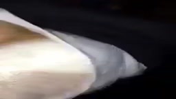 リアル　レイプ