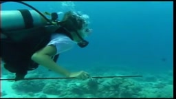 海で水中スキューバセックス