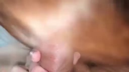 家 フェラ