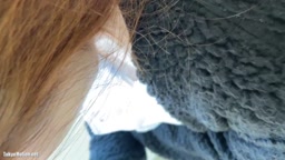 おっぱい
