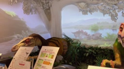 ユーチューバー　なっち旅ポロリ　01