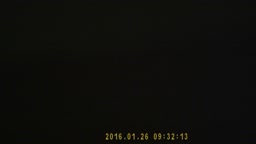 便器の中から熟年まんこおりじなる