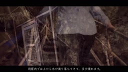 人妻とデート&カーセックス