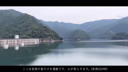 人妻とデート&カーセックス