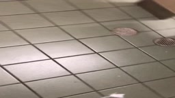 Voyeur wc *06