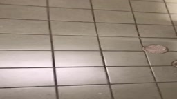 Voyeur wc *06