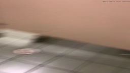 Voyeur wc *06