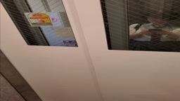 Elevator upskirt 2