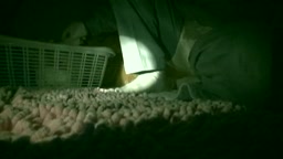 睡眠レイプされながらも幸せそうに眠るお姉さん547
