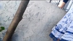 Upskirt - 65