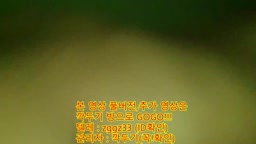 korea 한국 23살 F컵 경아 유출 깍두기방 텔레방zggz33
