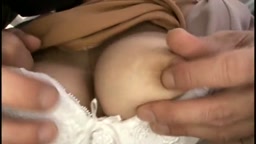 モザ　人妻痴漢電車