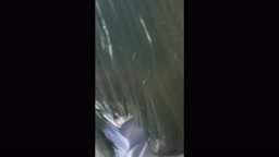 電射29 - TOKYO Motion